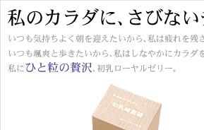 商品イメージ